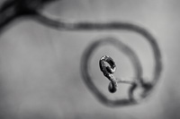 Natural Abstractions